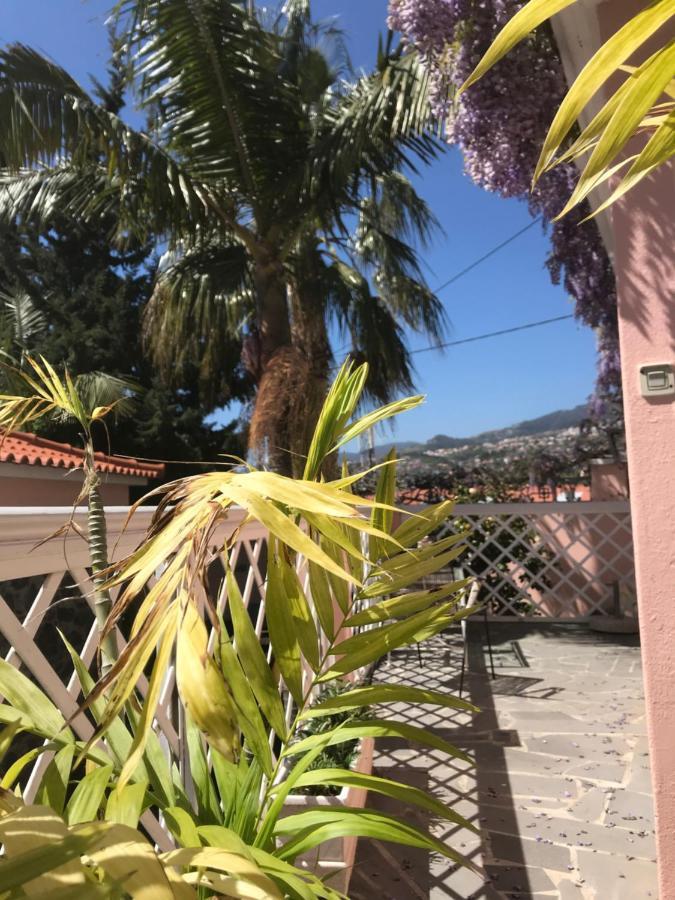 Apartamento Casa Do Poço Funchal (Madeira)